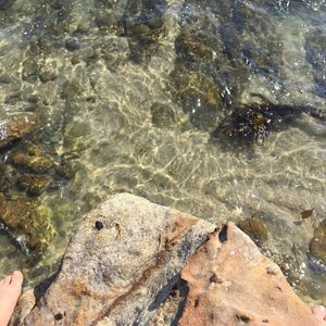 Meet your Posher, Dakota